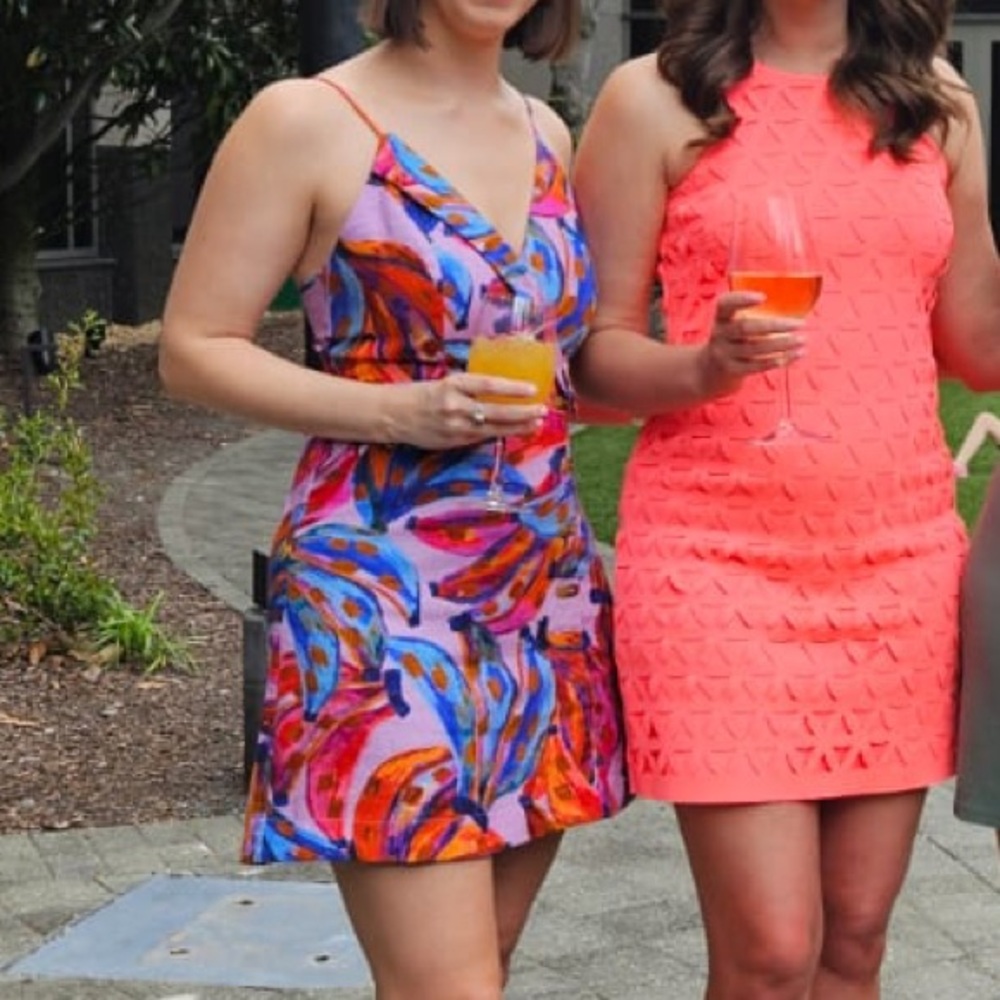 Farm Rio mini dress
